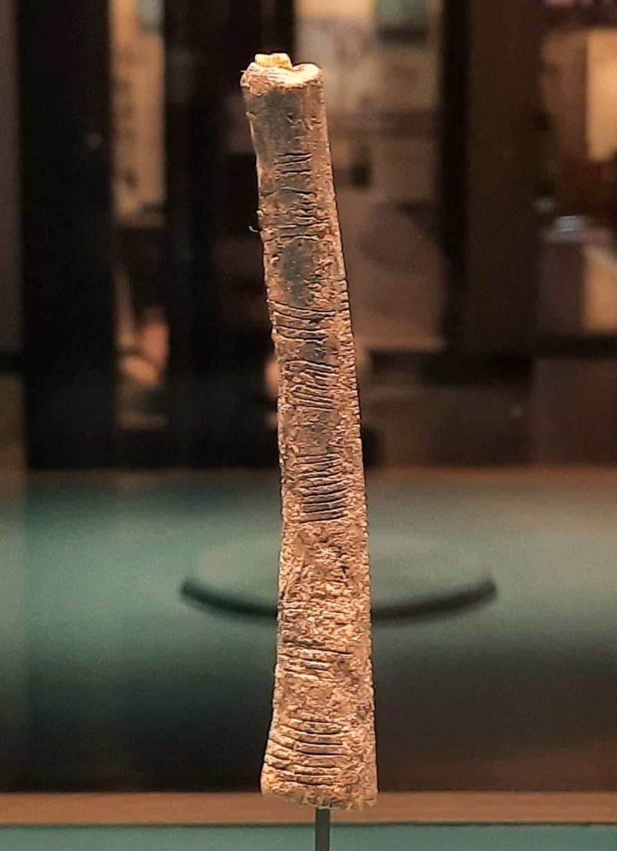 伊尚戈骨刻痕(约前 30000,文物照片)